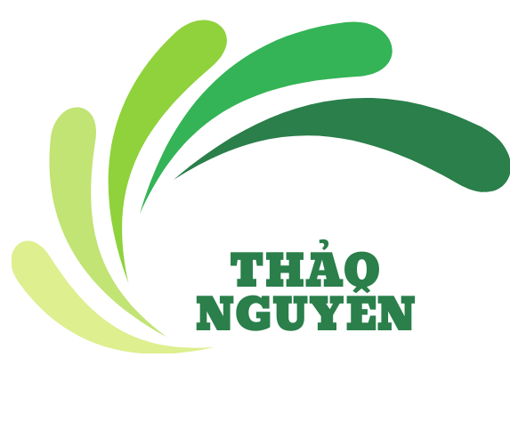 Dịch vụ kế toán Quảng Ngãi
